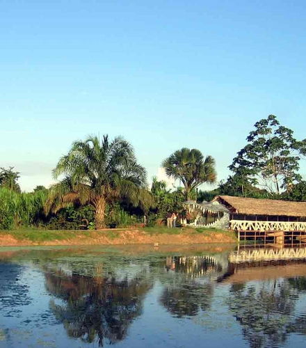Foto de Tour por el Parque Natural de Pucallpa y Museo Regional